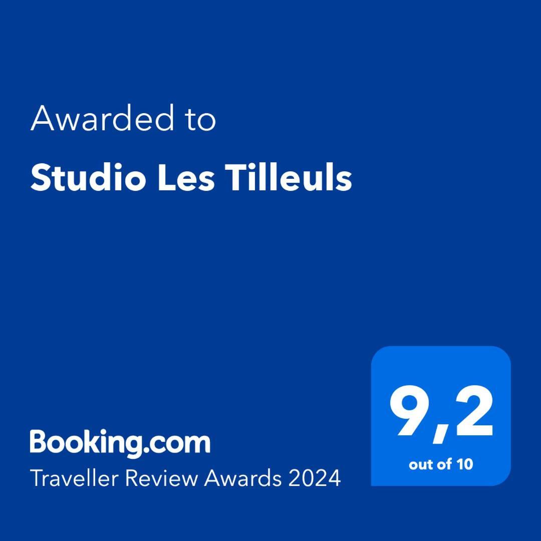 Studio Les Tilleuls Αμπουάζ Εξωτερικό φωτογραφία
